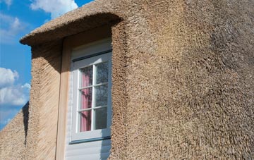 Booth thatch roof disadvantages
